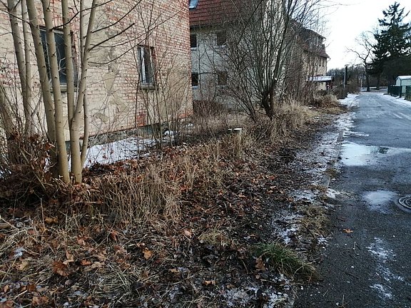 Sträucher verschneiden durch Hausmeistersevice Ziebula - nachher Sträucher verschneiden durch Hausmeistersevice Ziebula - nachher