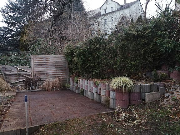 Sträucher verschneiden durch Hausmeistersevice Ziebula - vorher Sträucher verschneiden durch Hausmeistersevice Ziebula - vorher