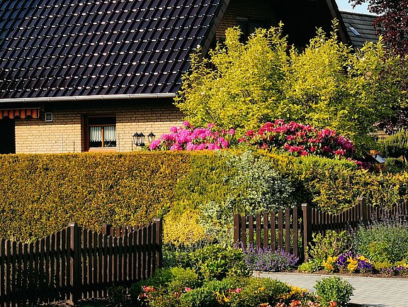 Heckenpflege und Heckenschnitt in Zittau Heckenpflege und Heckenschnitt in Zittau